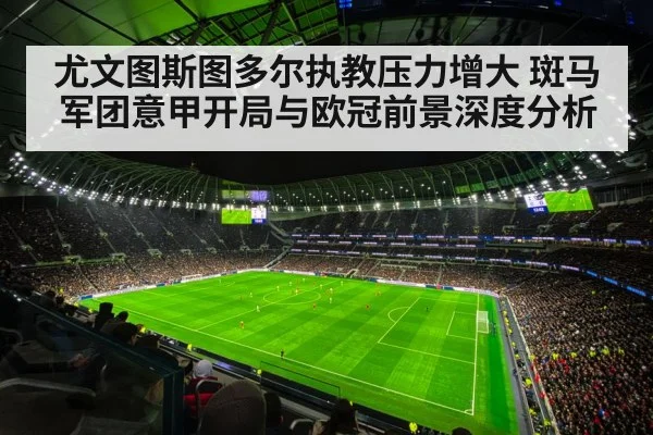 champions league stadium night